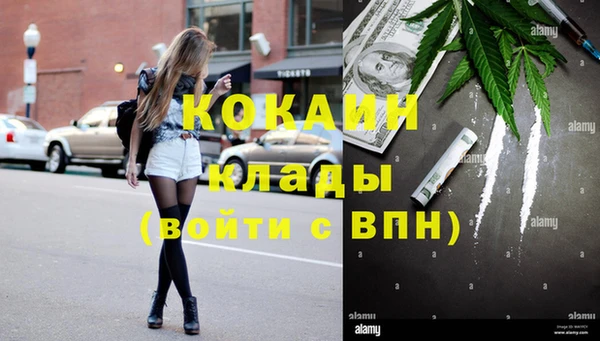 COCAINE Богородицк